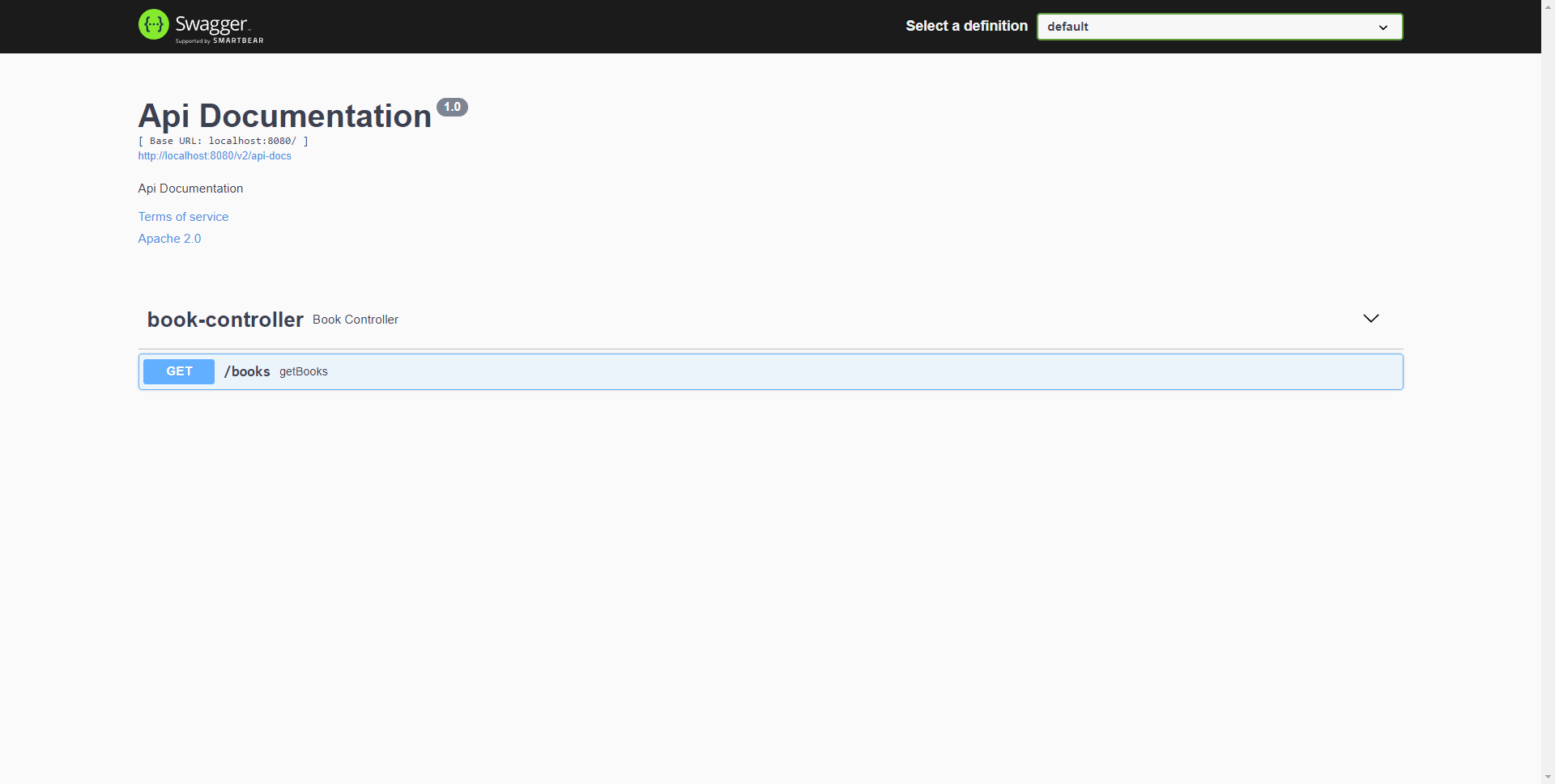 Image of swagger-ui without ApiInfo